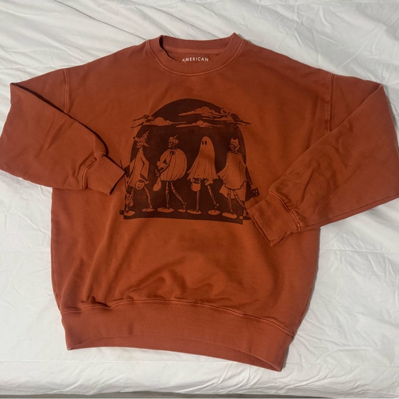 American Eagle Outfitters Sweaters - American Eagle Burnt Orange Skeleton Sweatshirt